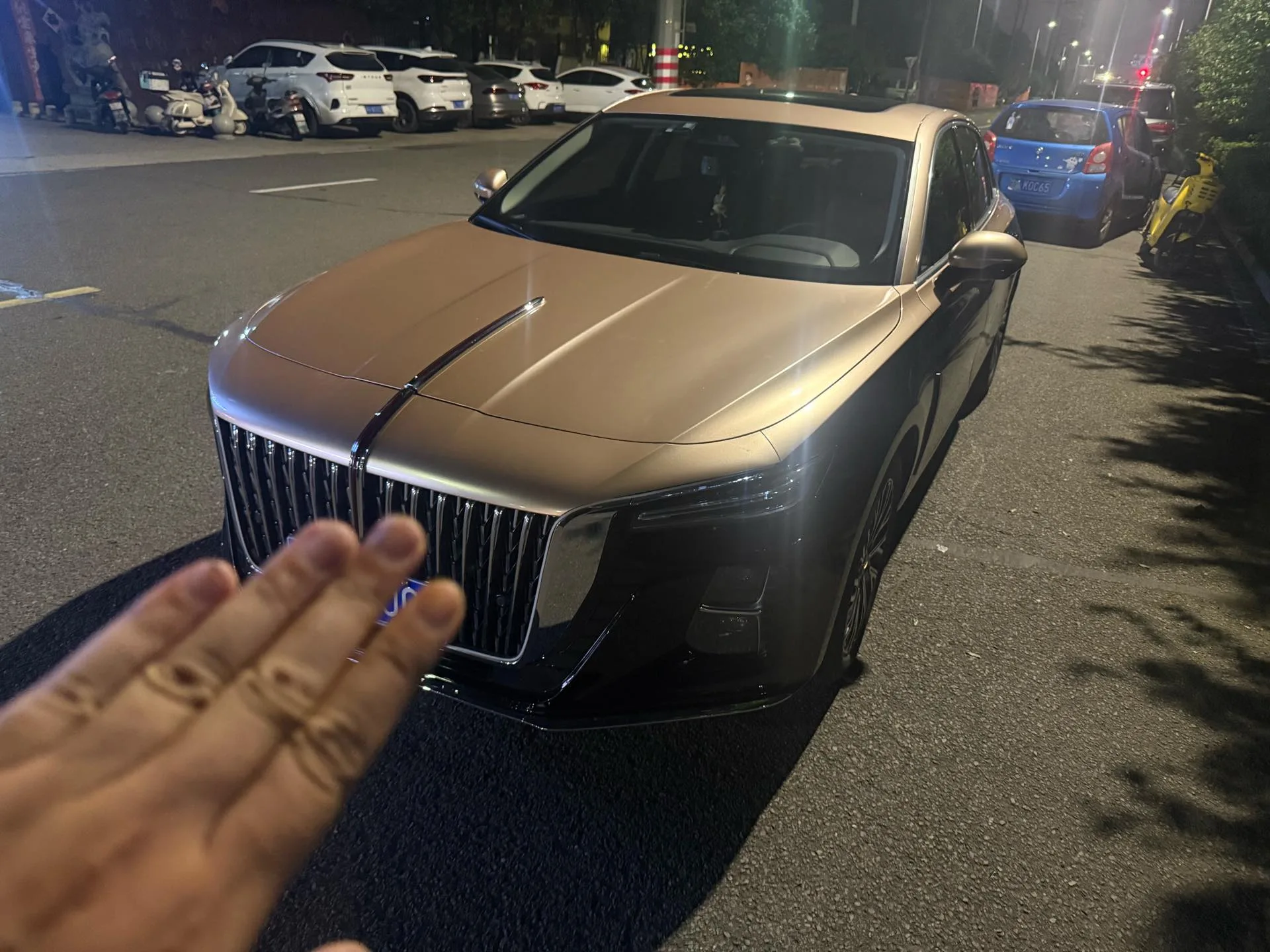 Hongqi H5 2023 2.0T Automatic Intelligent Flagship Edition