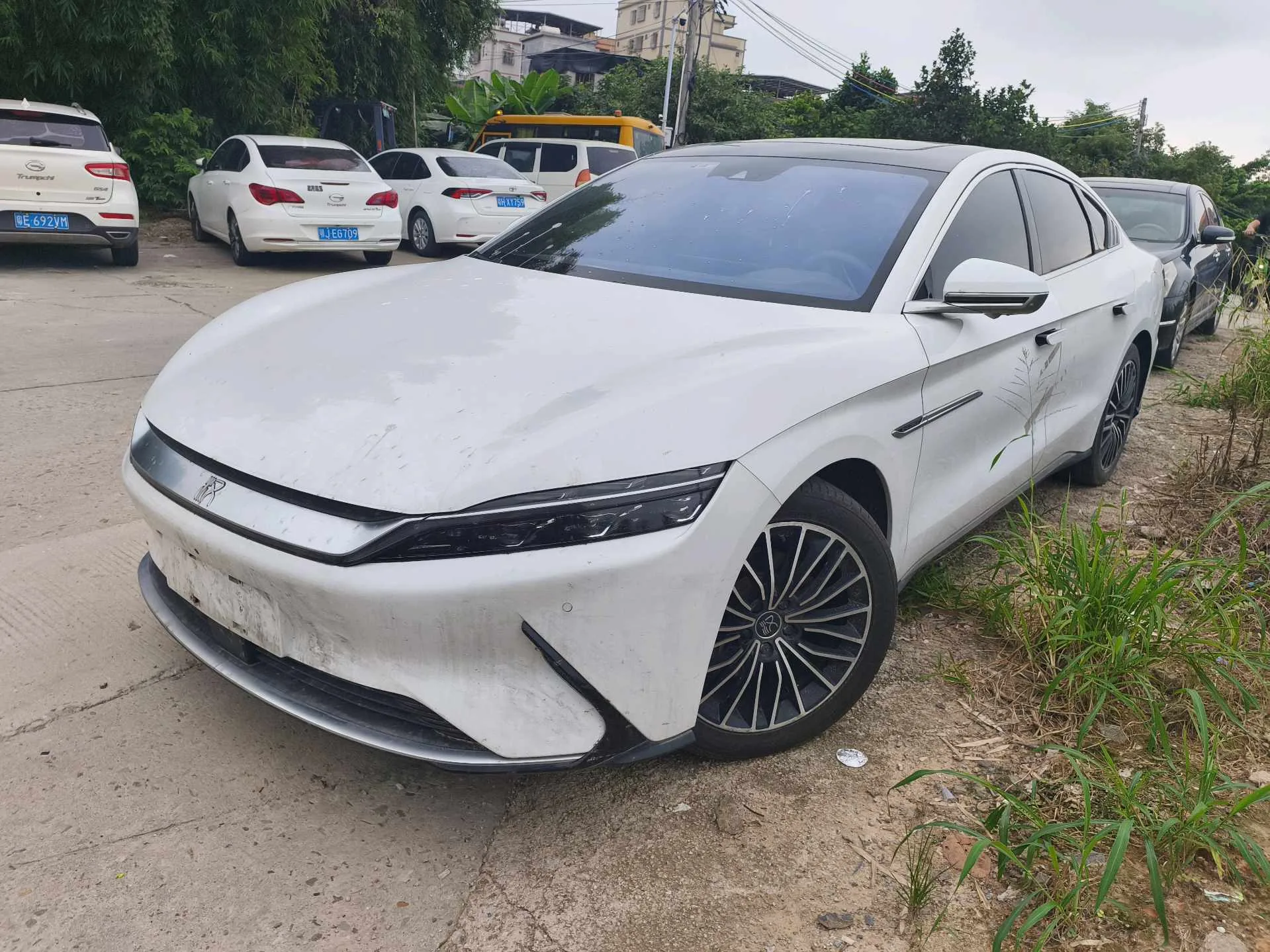 Han 2020 EV Extended Range Premium Edition