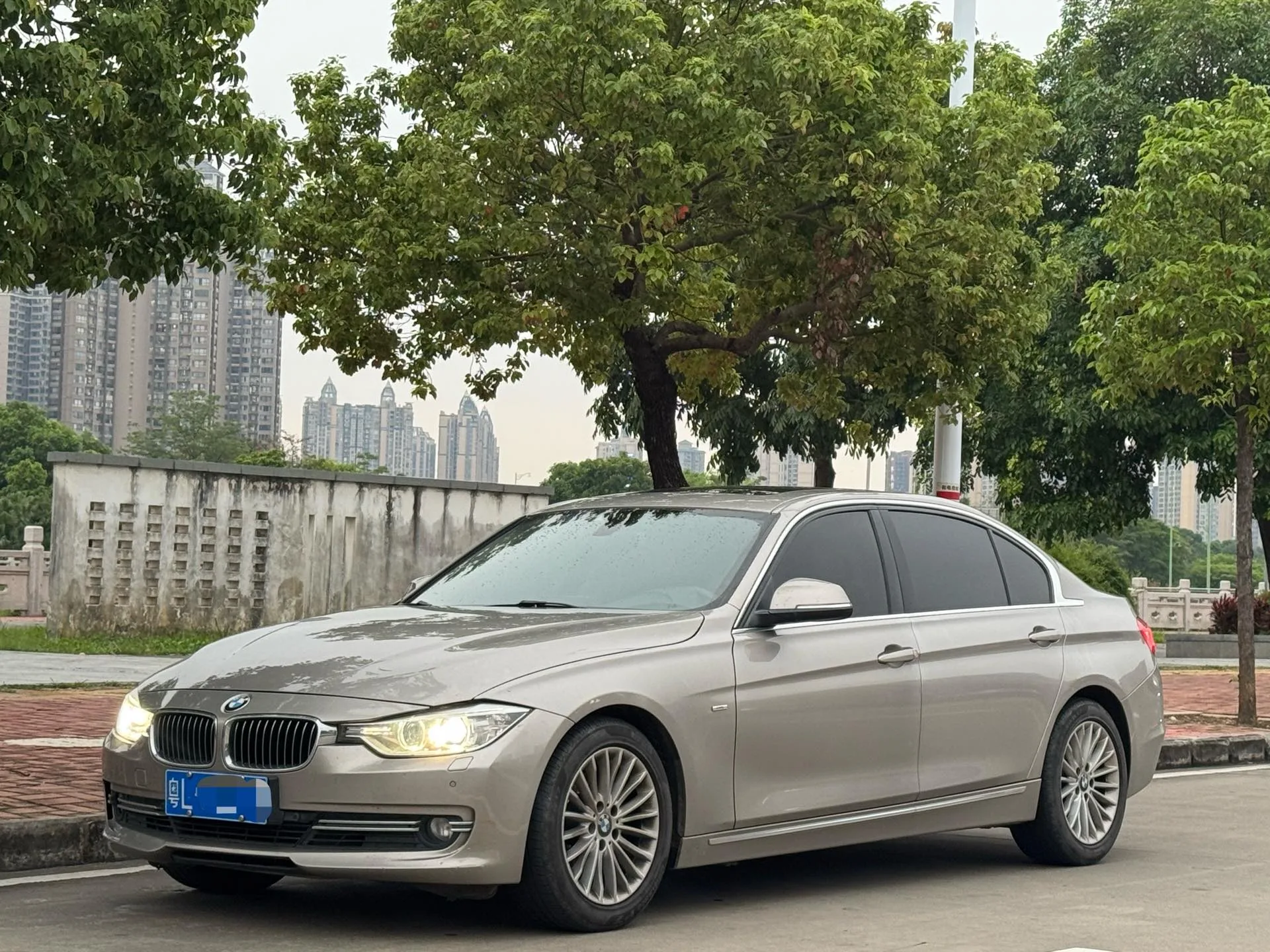 2015 BMW 3 Series 320Li Luxury Design Package
