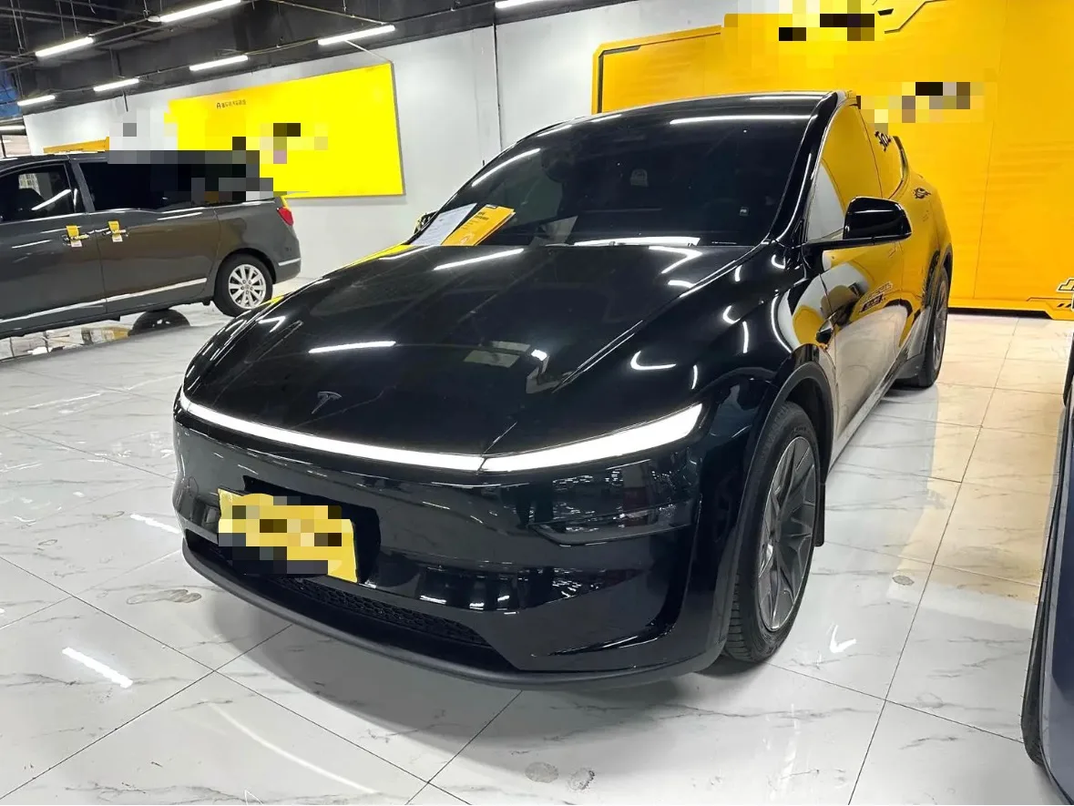 Tesla 2025 Model Y L Long Range All-Wheel Drive Automatic