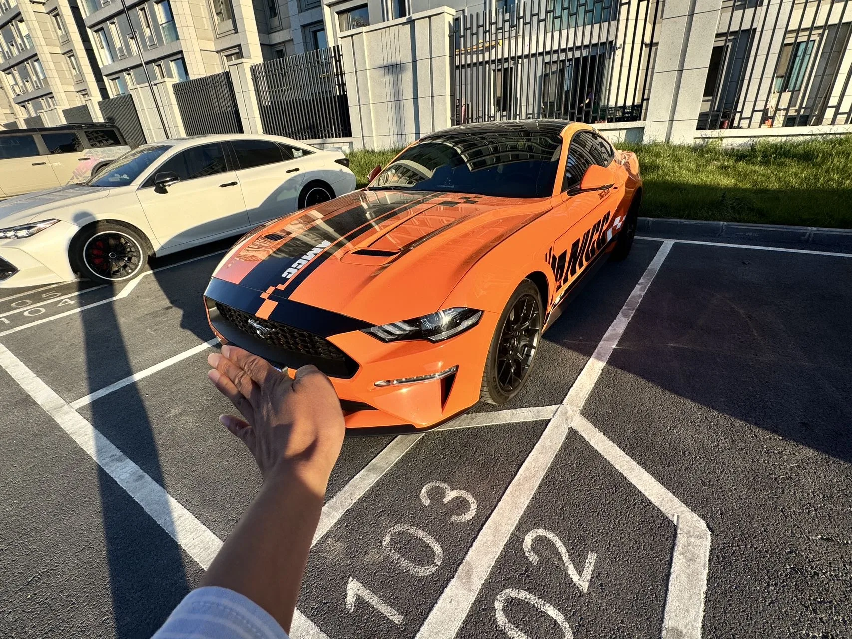 2019 Ford Mustang (Imported) 2.3T US Spec Standard Automatic