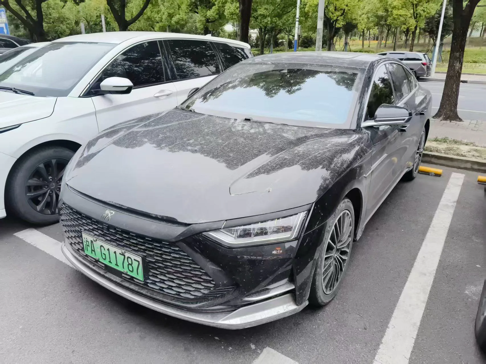 2020 Han DM 4WD Performance Luxury Edition