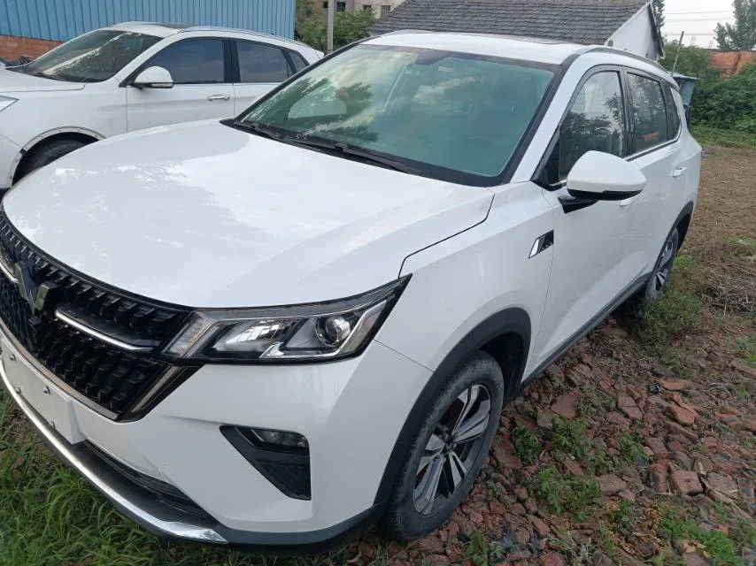 Wuling 2021 Starry Sky 1.5T Star Dynamic Edition Manual Transmission