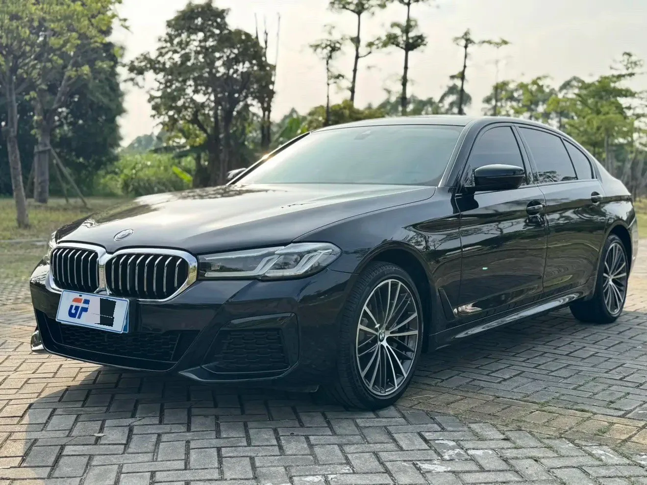 BMW 5 Series 2023 530Li 2.0T Leading Luxury Package (Facelift) Automatic