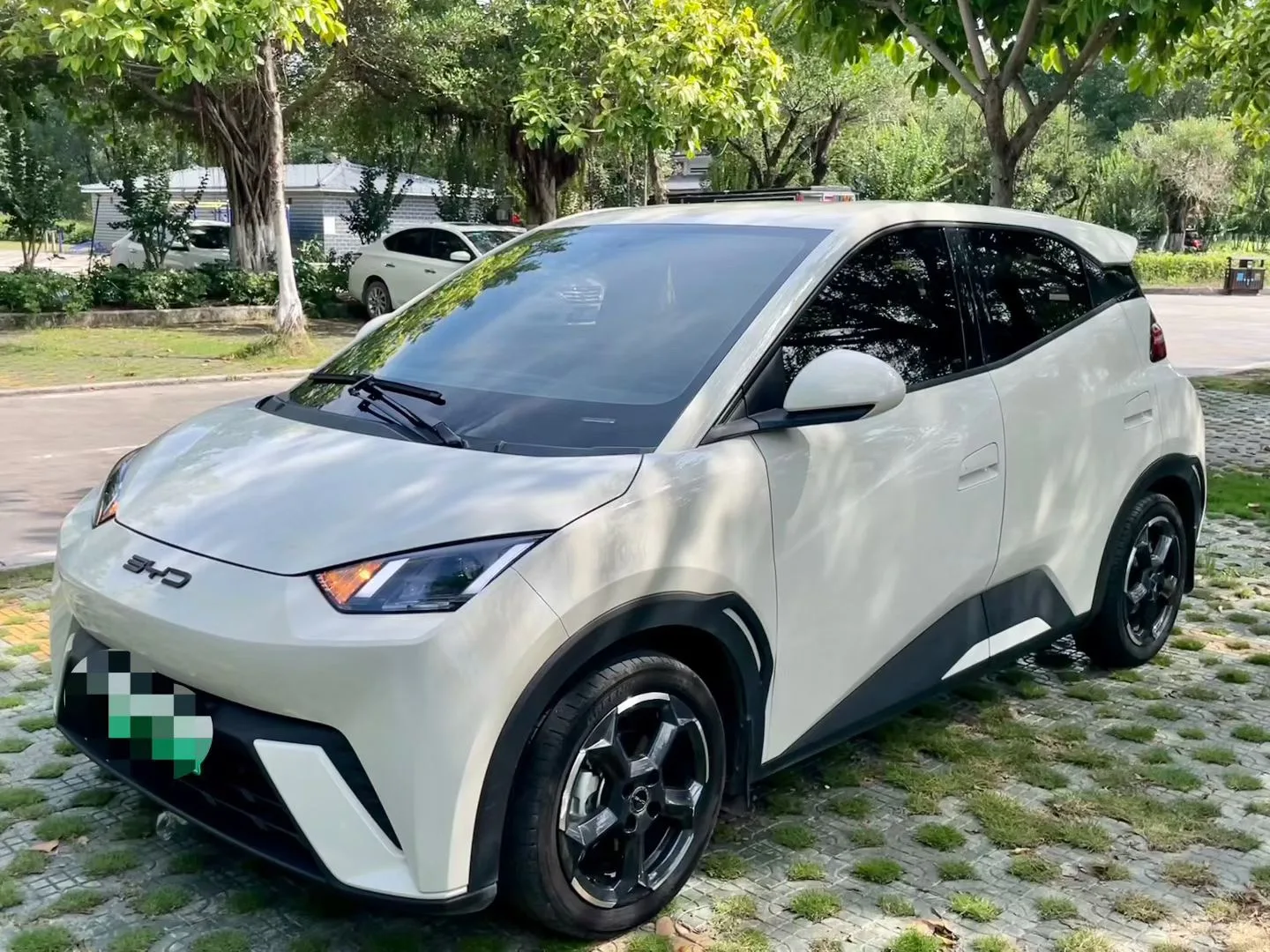 BYD 2024 Seagull Glory Edition 305km/h Freedom Edition Automatic Transmission