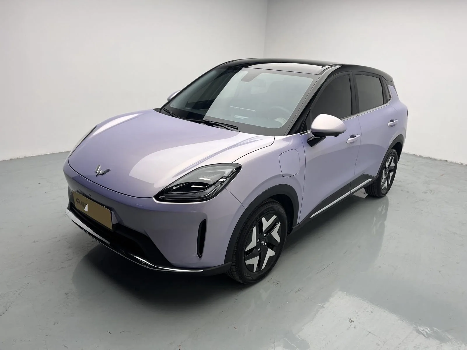 Bingo S 2025 Model 325km Premium Edition