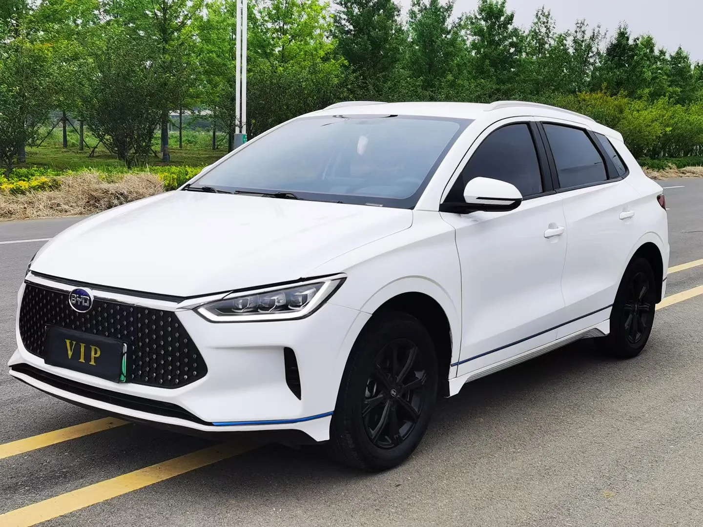 BYD e2 2019 Long Range Edition, Luxury Model