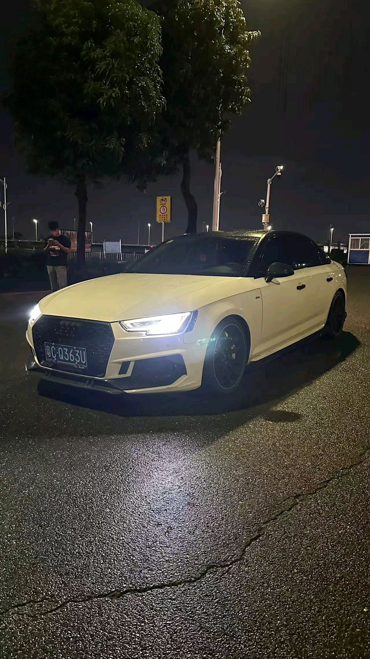 Audi A4L 2018 30th Anniversary Edition 40 TFSI Fashion Model