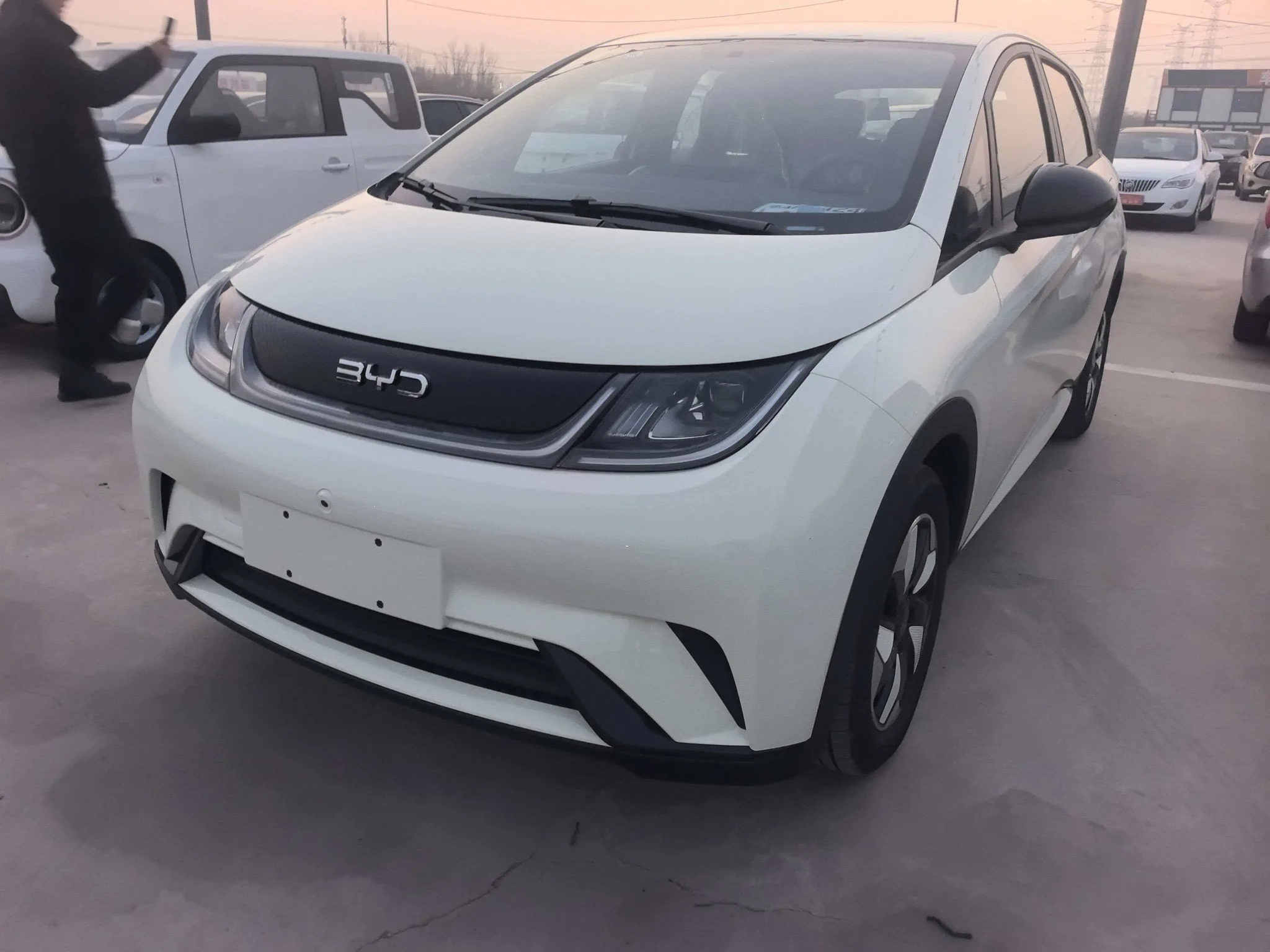 BYD 2025 Dolphin 420km Freedom Edition Automatic