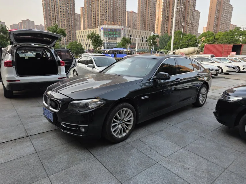2013 BMW 5 Series 525Li Excellence Edition
