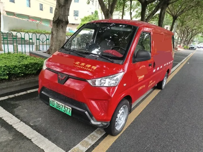 2020 Wuling EV50 All-Electric Van (Penghui Model) with Unheated Battery