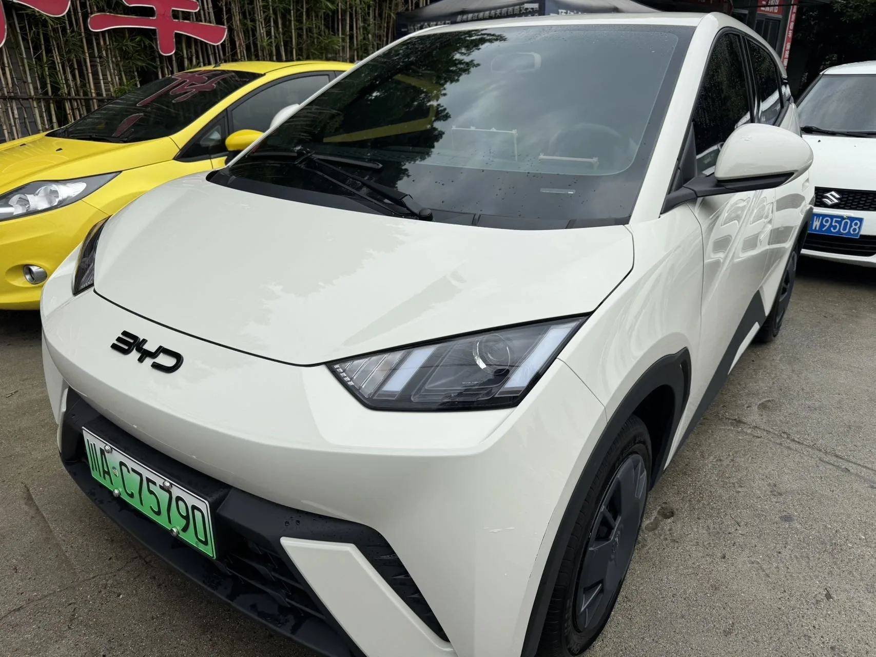 BYD 2025 Seagull 305km/h Vitality Edition Automatic