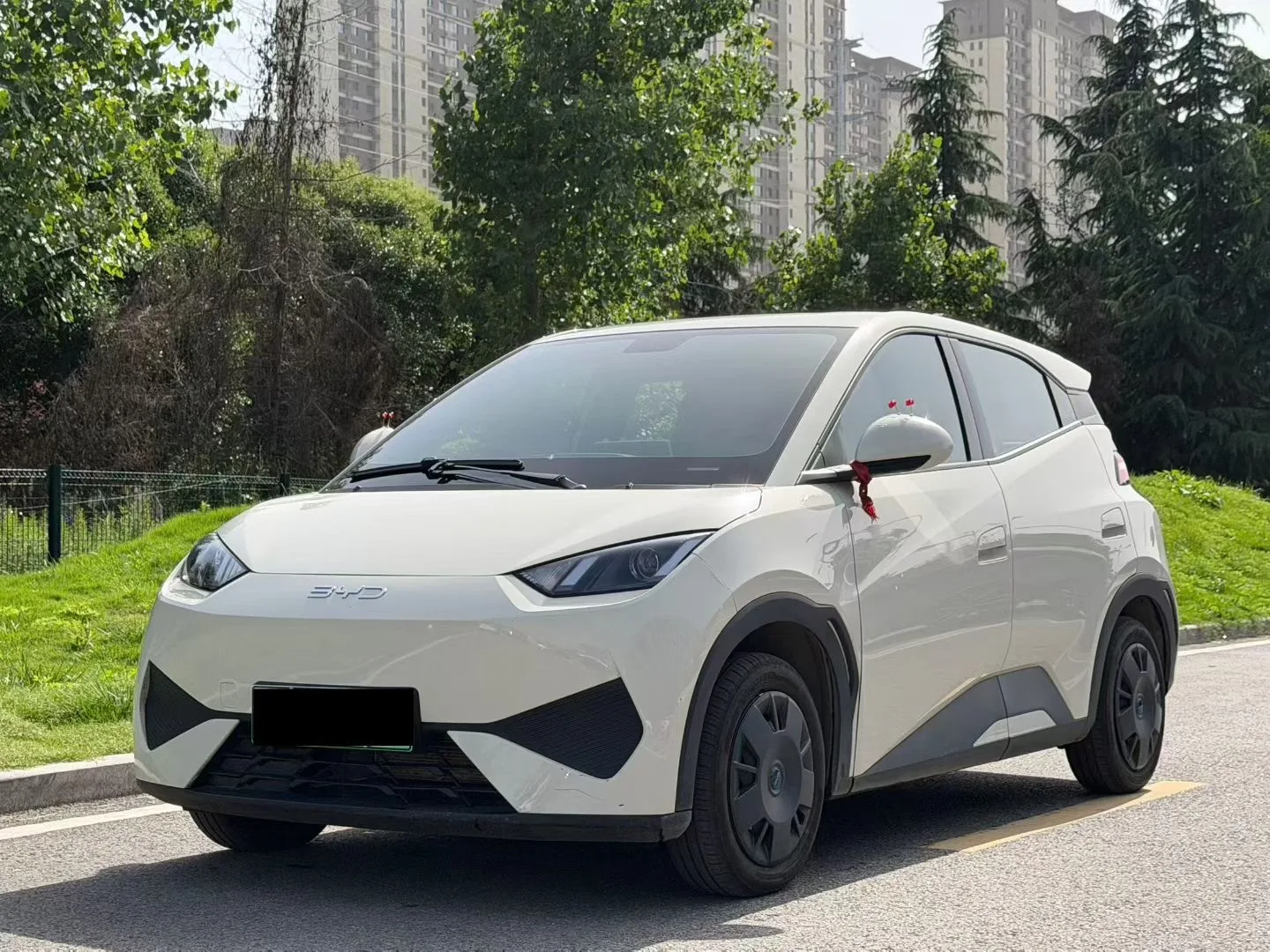 BYD 2025 Seagull Smart Driving Edition 305km/h Vitality Edition Automatic