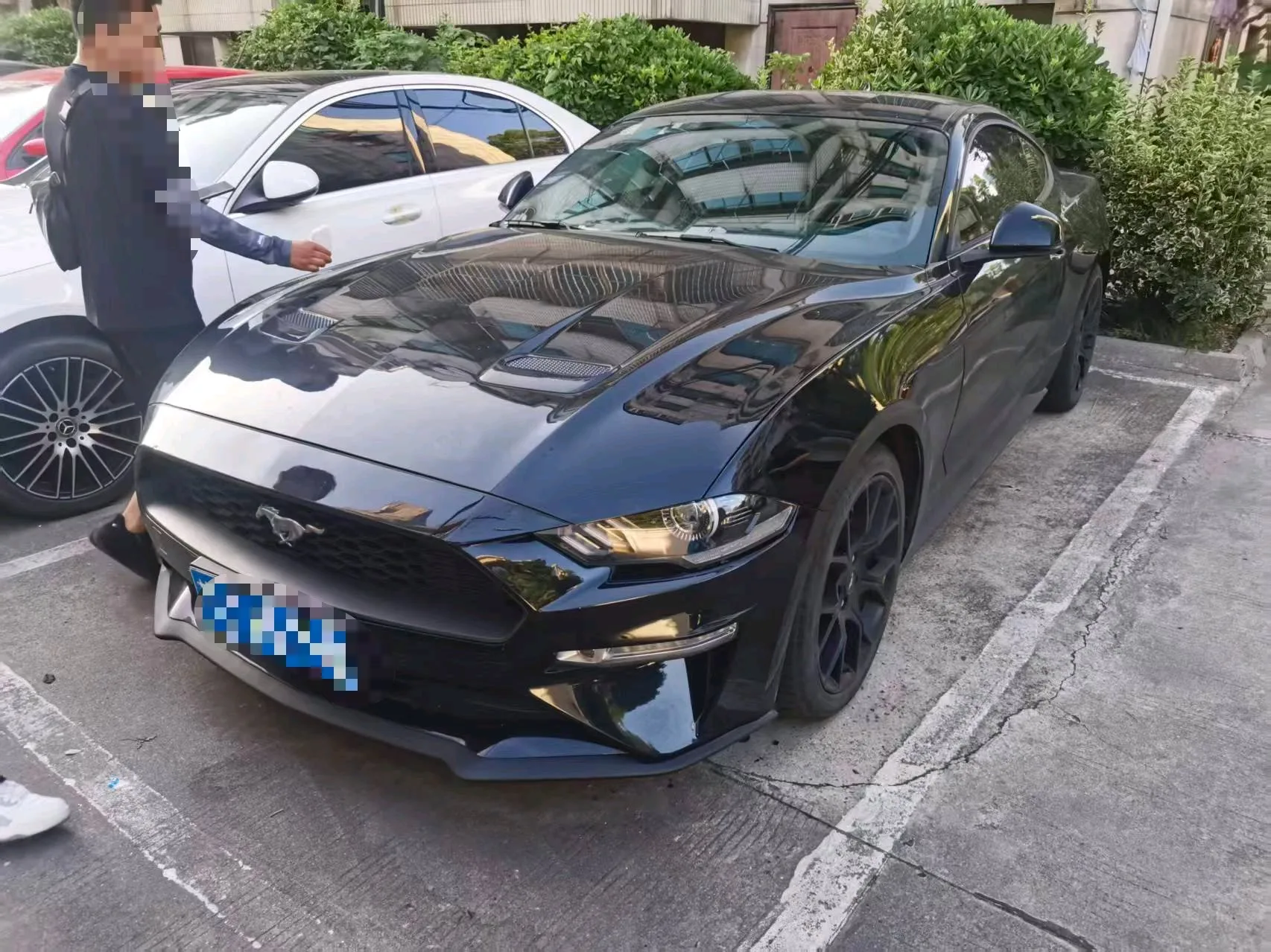 2019 Ford Mustang (Imported) 2.3T US Spec Standard Automatic