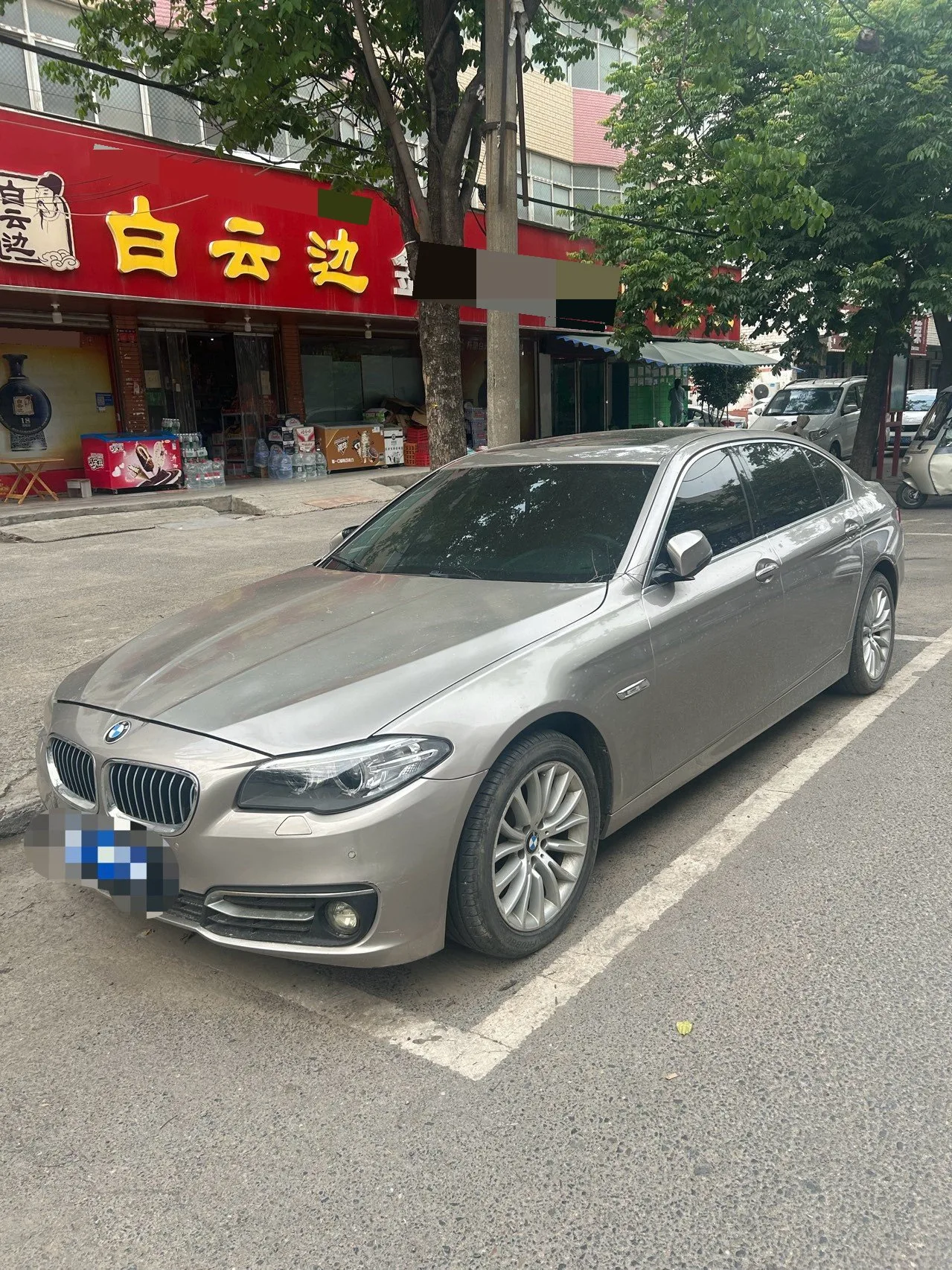2014 BMW 5 Series 525Li Luxury Design Package