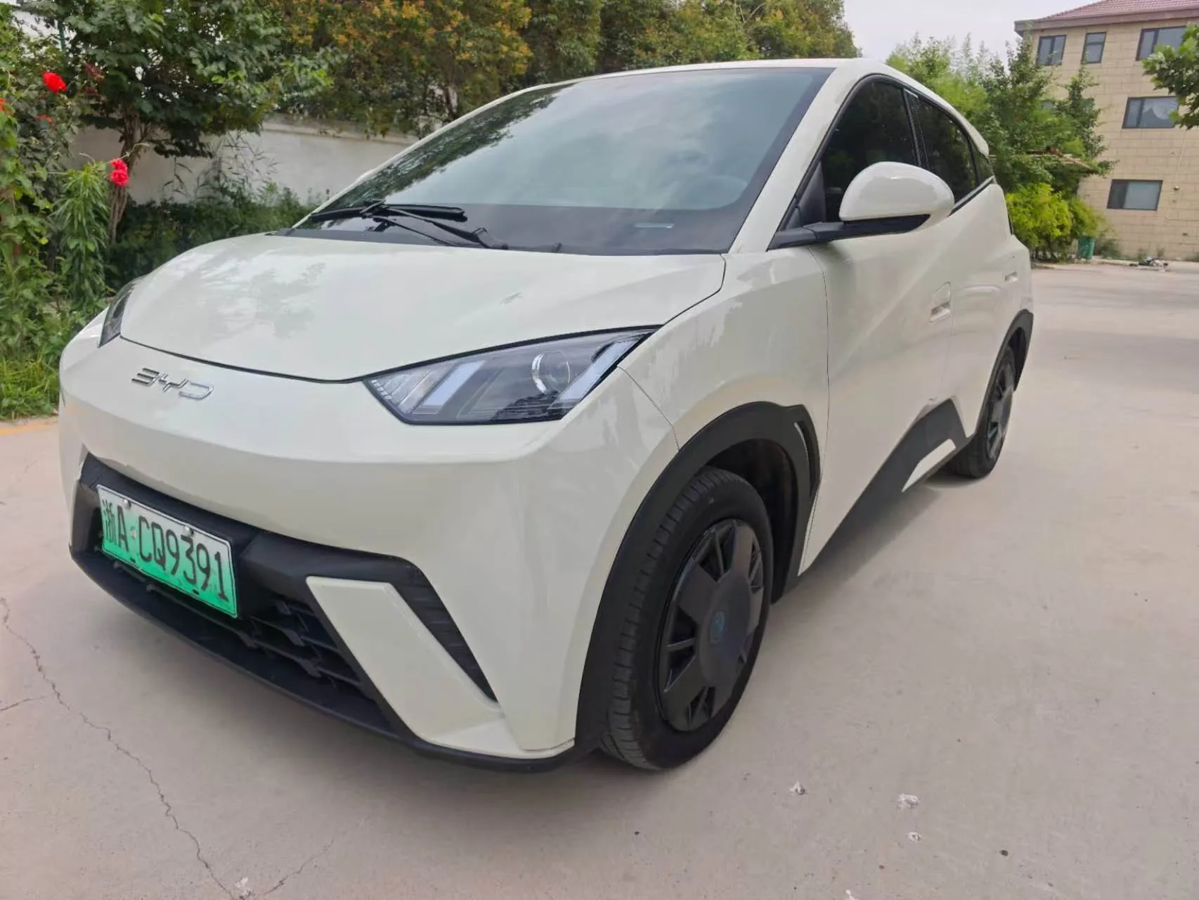 BYD 2025 Seagull 305km/h Vitality Edition Automatic