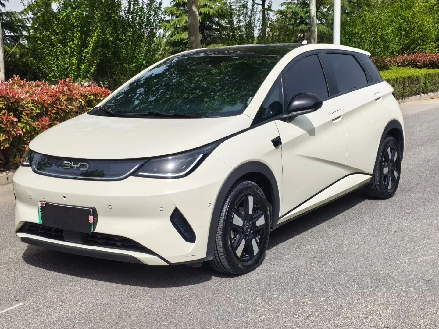 BYD 2025 Dolphin Smart Driving Edition 410km Fashion Edition Automatic
