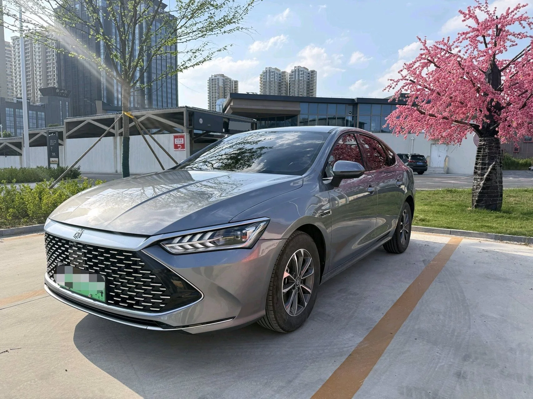 BYD 2024 Qin PLUS DM-i 1.5 CVT Glory Edition 55KM Leading Model Automatic