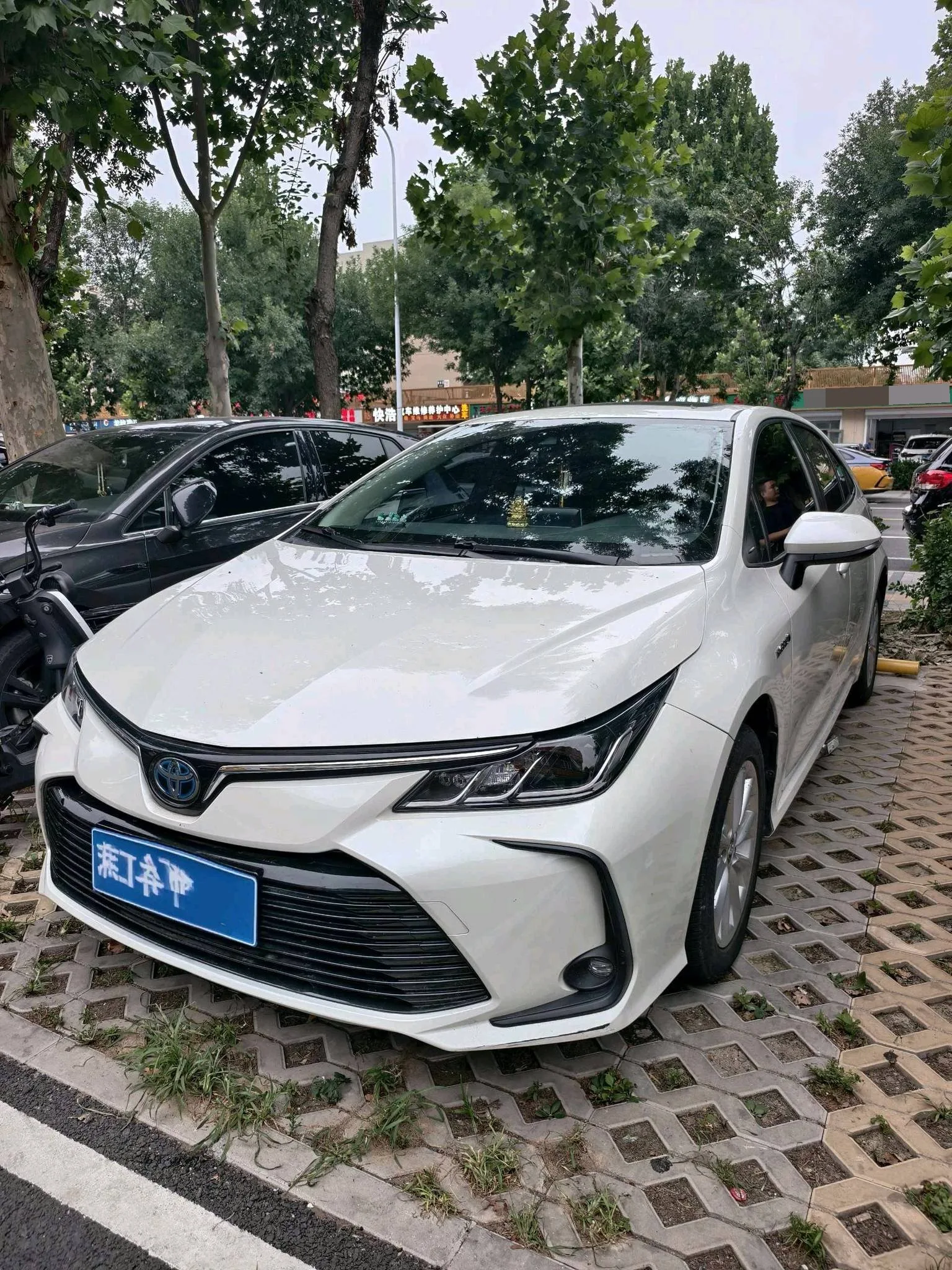 2019 Toyota Corolla Hybrid 1.8L E-CVT GL-i Elite Edition