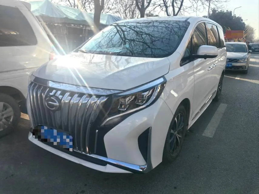 Trumpchi M8 2021 Leading Series 390T Premium Edition