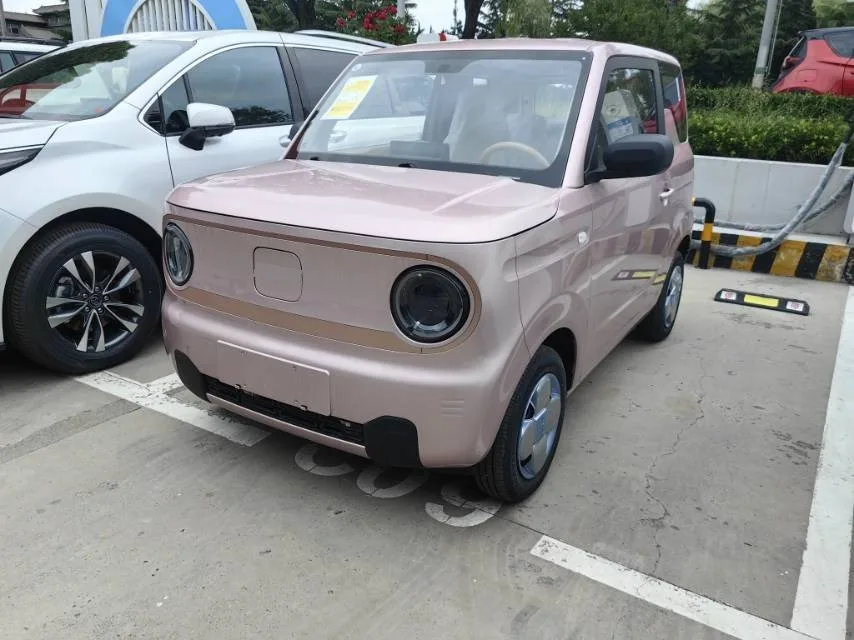 Panda 2024 Panda Mini 200km Endurance Bear