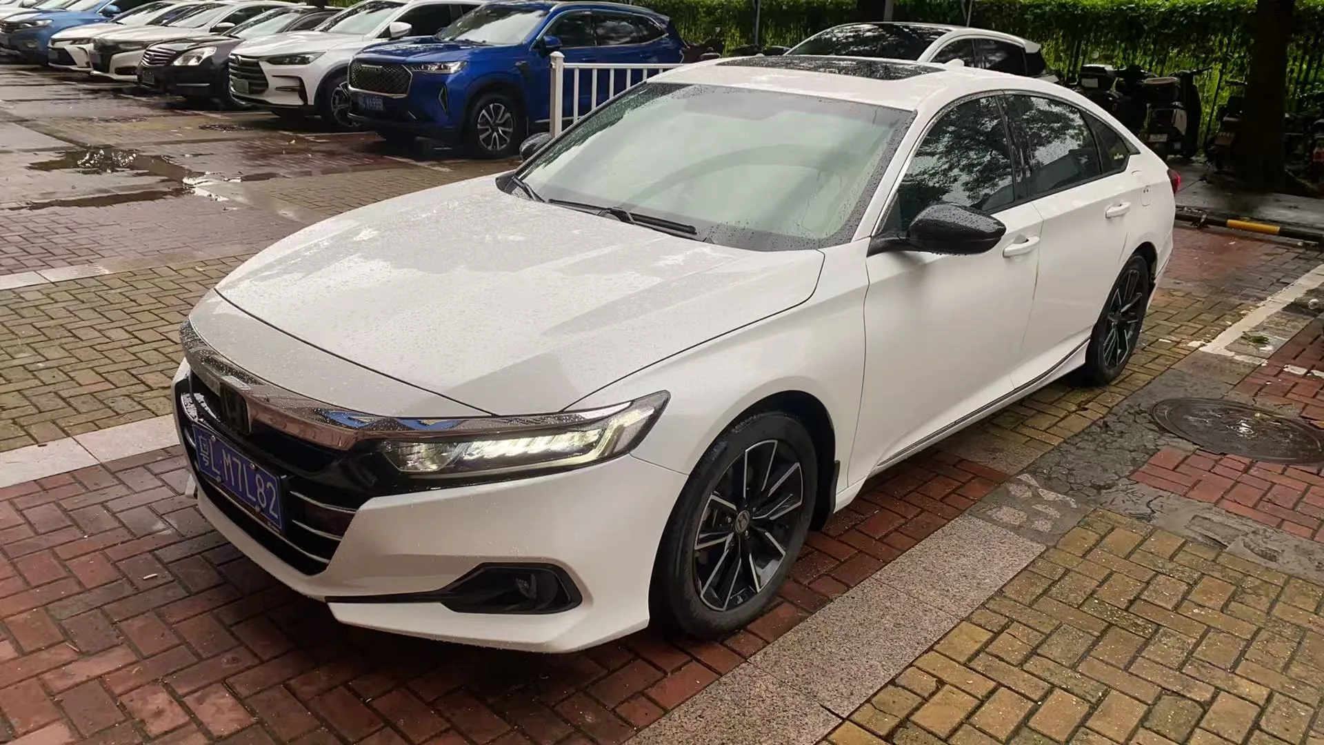 2022 Honda Accord 260TURBO Luxury Edition