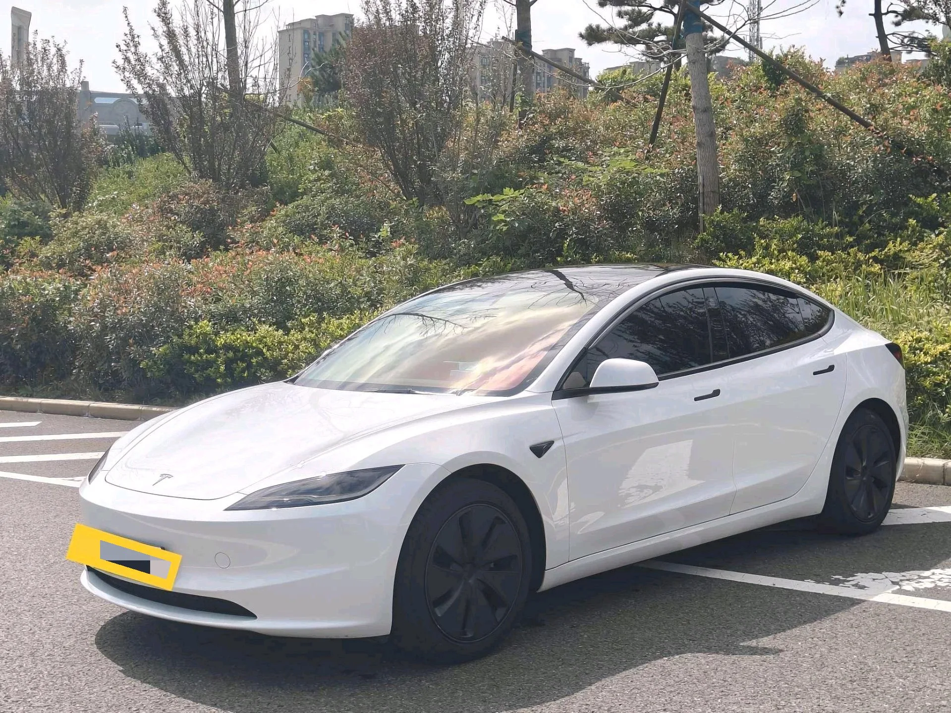 Tesla 2025 Model 3 Rear-Wheel Drive Automatic