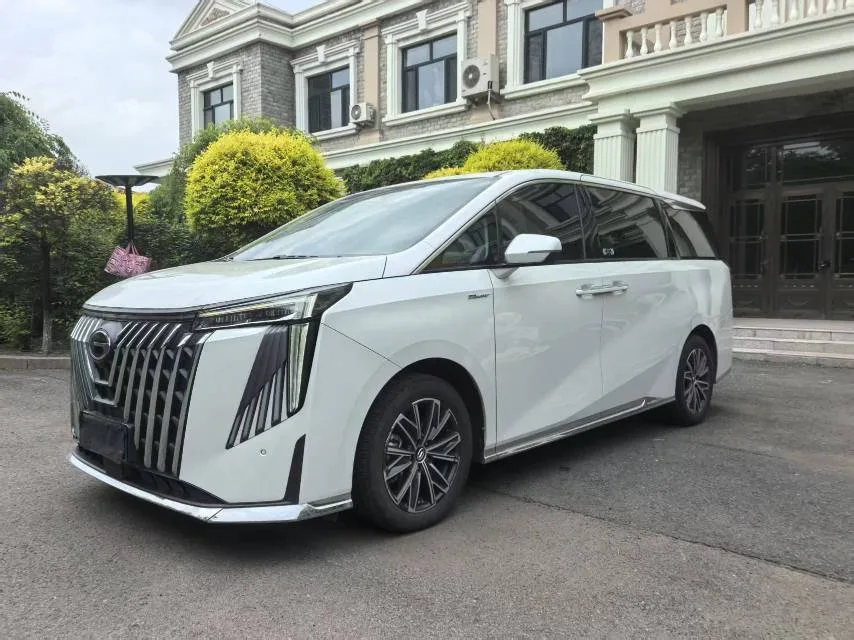 Trumpchi M8 2024 2.0TGDI High-Spec Version