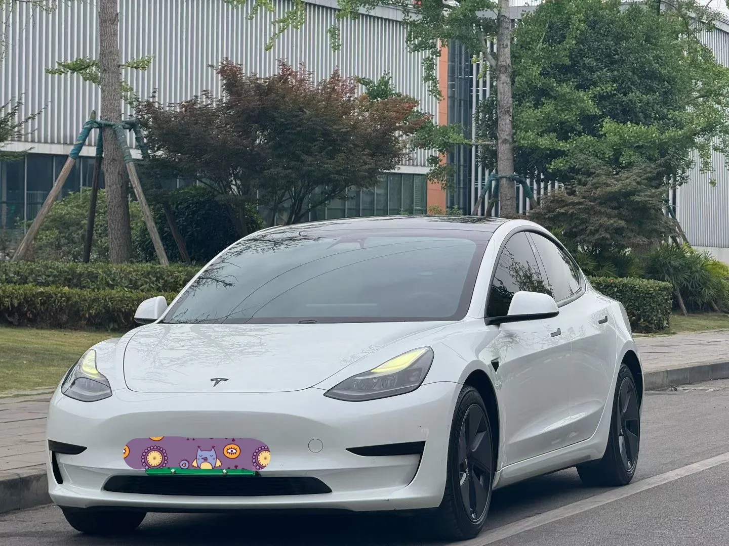 Model 3 2021 Facelift Standard Range Rear-Wheel Drive Upgrade Version 3D1