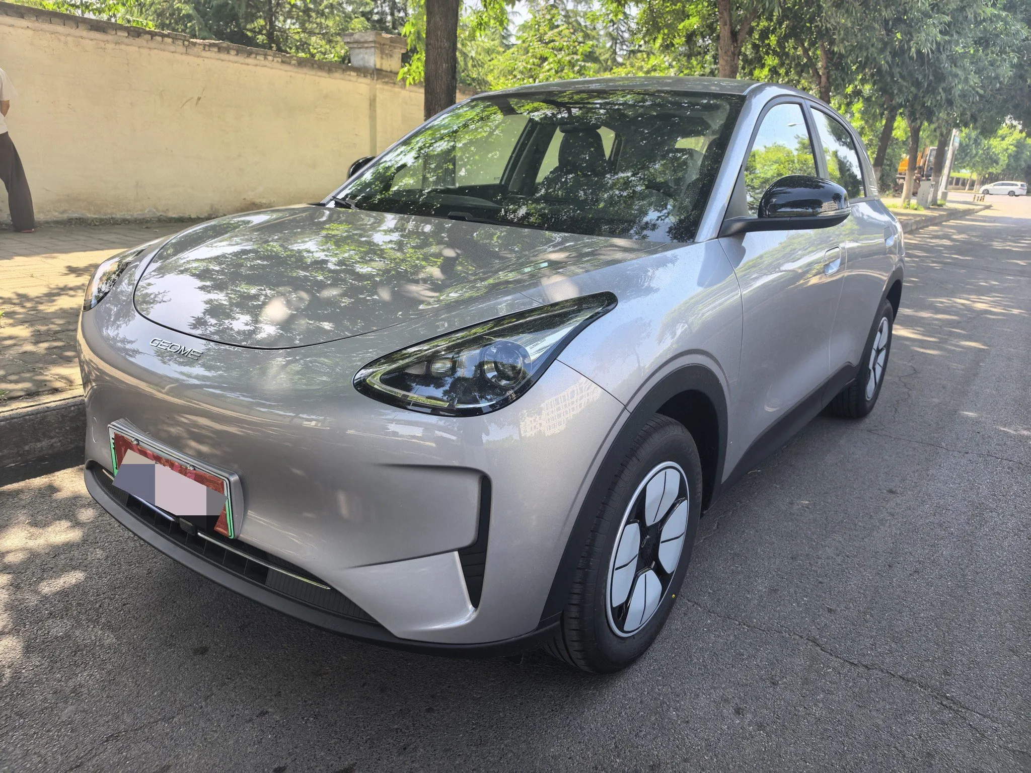 Star Wish 2026 Model 310km Youth Edition