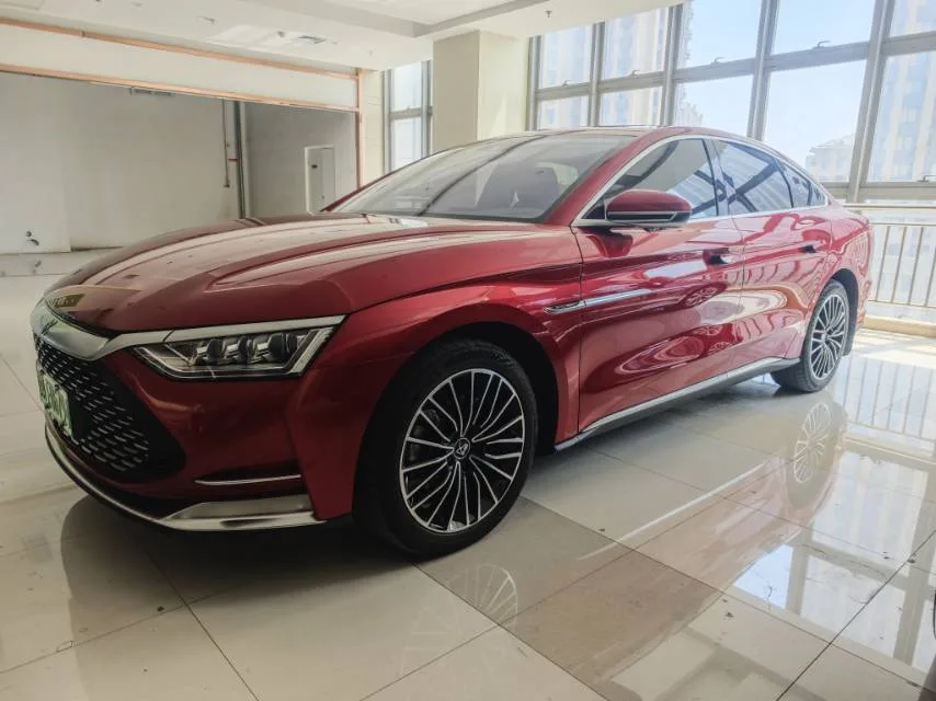 2020 Han DM 4WD Performance Luxury Edition