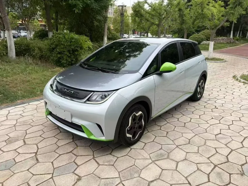 Dolphin 2021 405km Freedom Edition