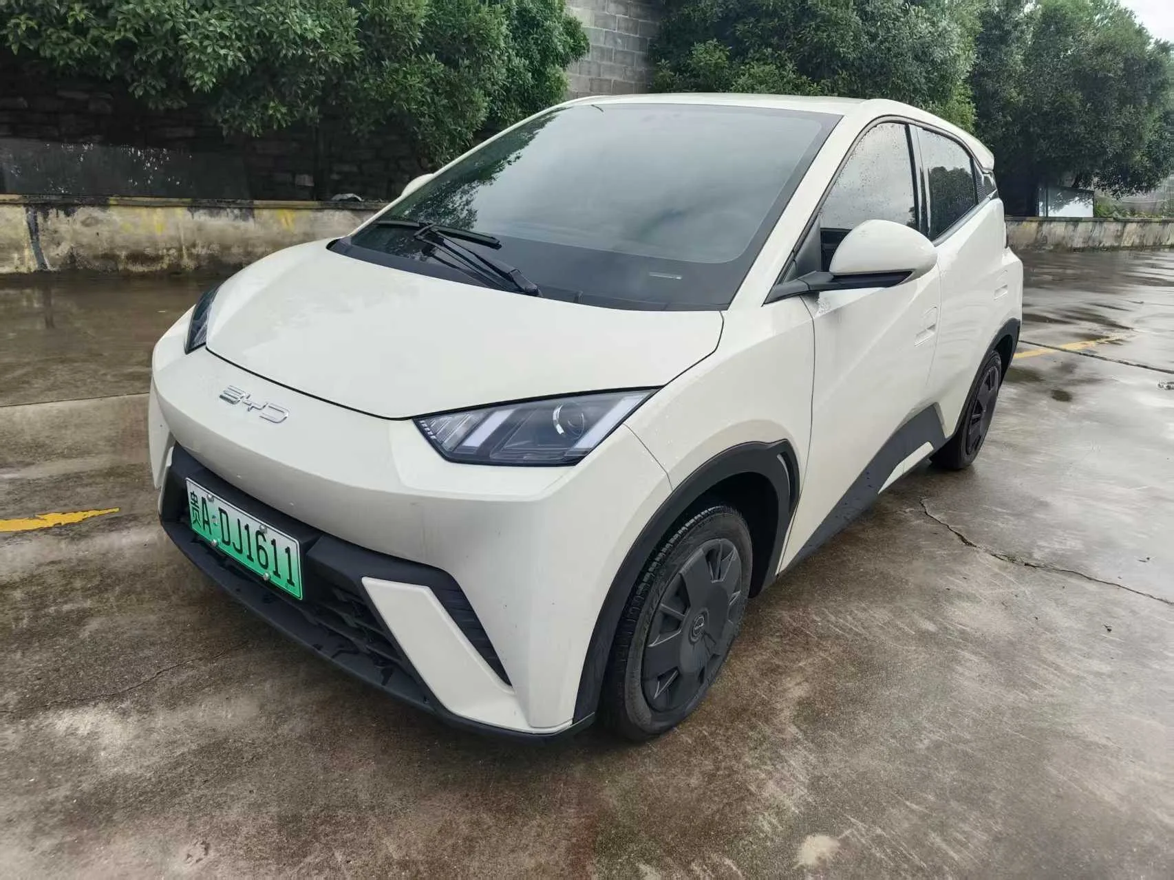 BYD 2023 Seagull Vitality Edition Automatic