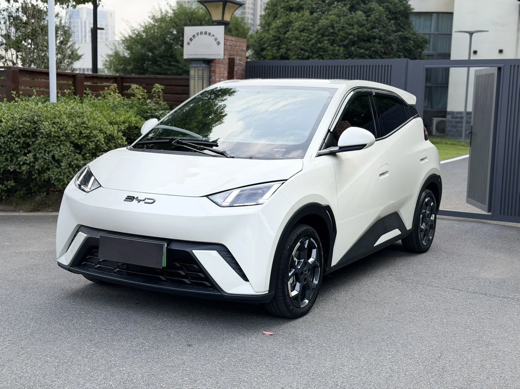 BYD 2024 Seagull Glory Edition 405km/h Flying Edition Automatic Transmission