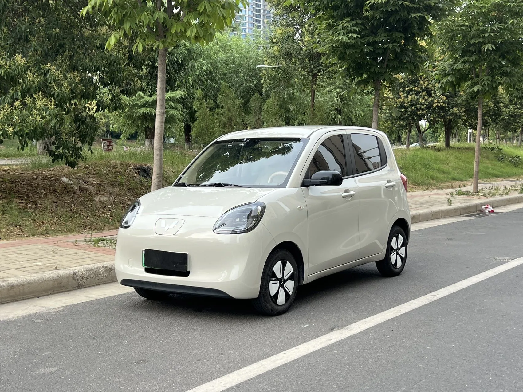 Wuling 2025 Hongguang MINI EV Four-Door Premium Edition Automatic