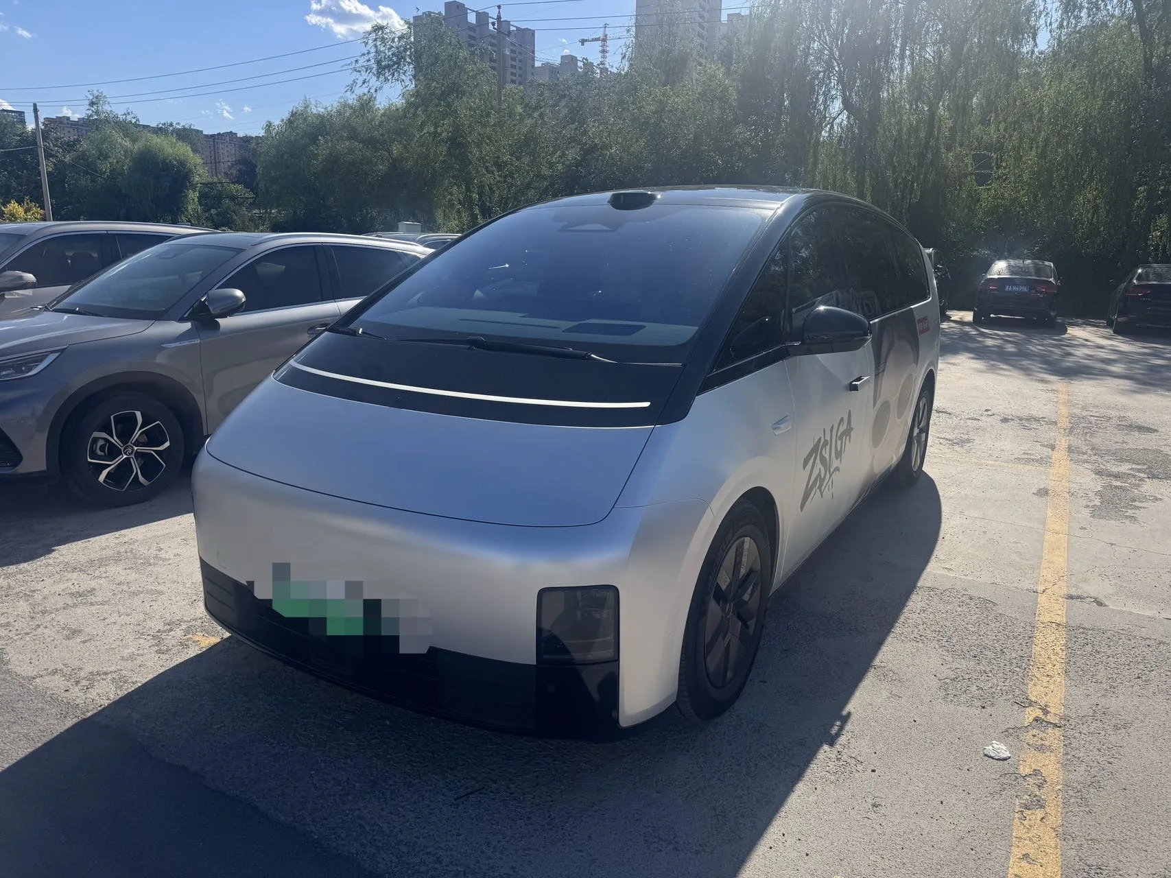 Li Auto 2025 MEGA Home Family Special Edition Automatic
