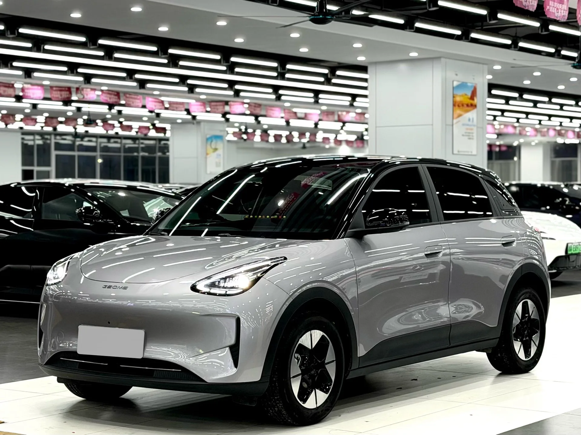 Star Wish 2026 Model 410km Freedom Edition
