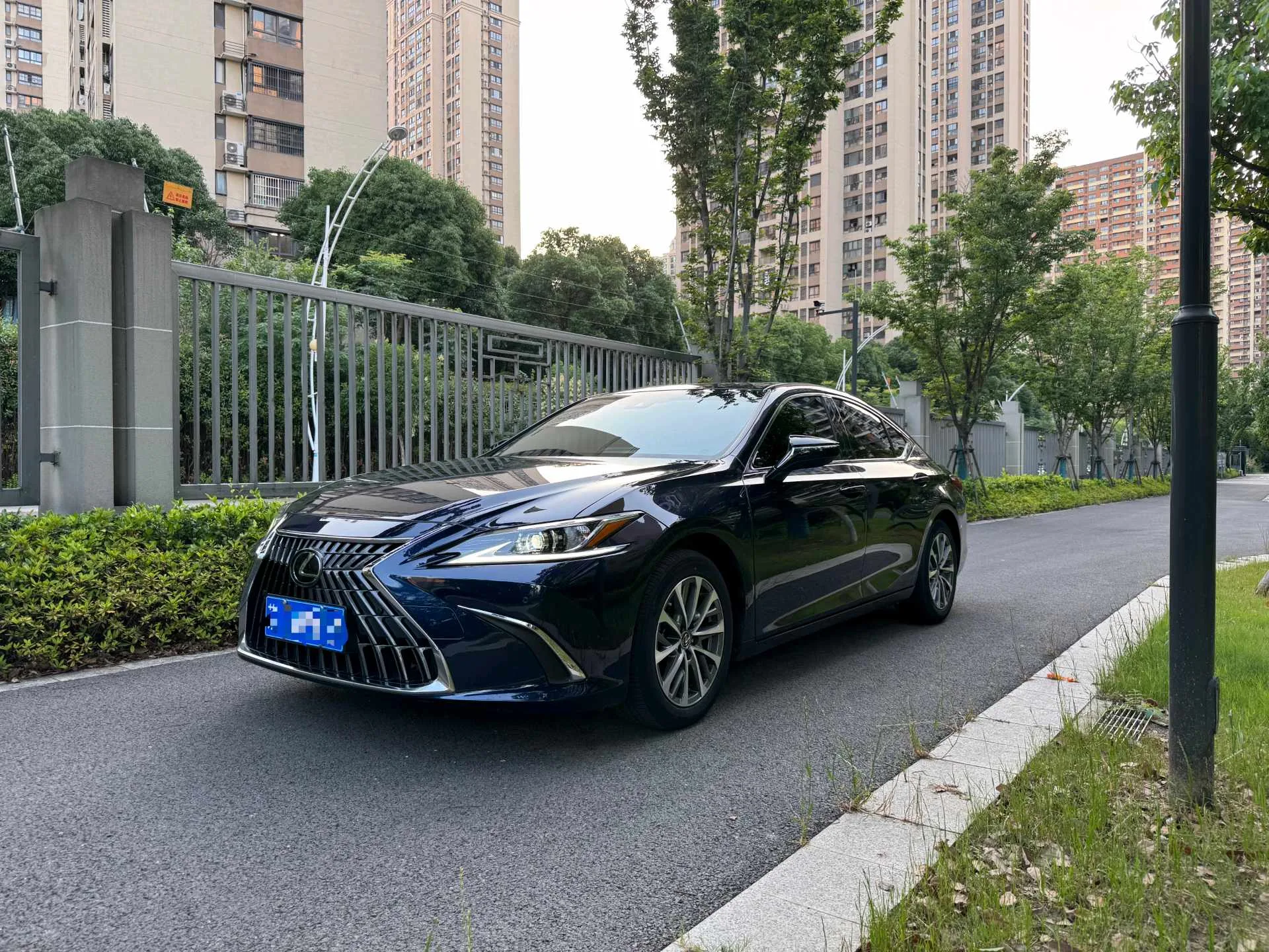 Lexus ES 2021 260 Premium Edition