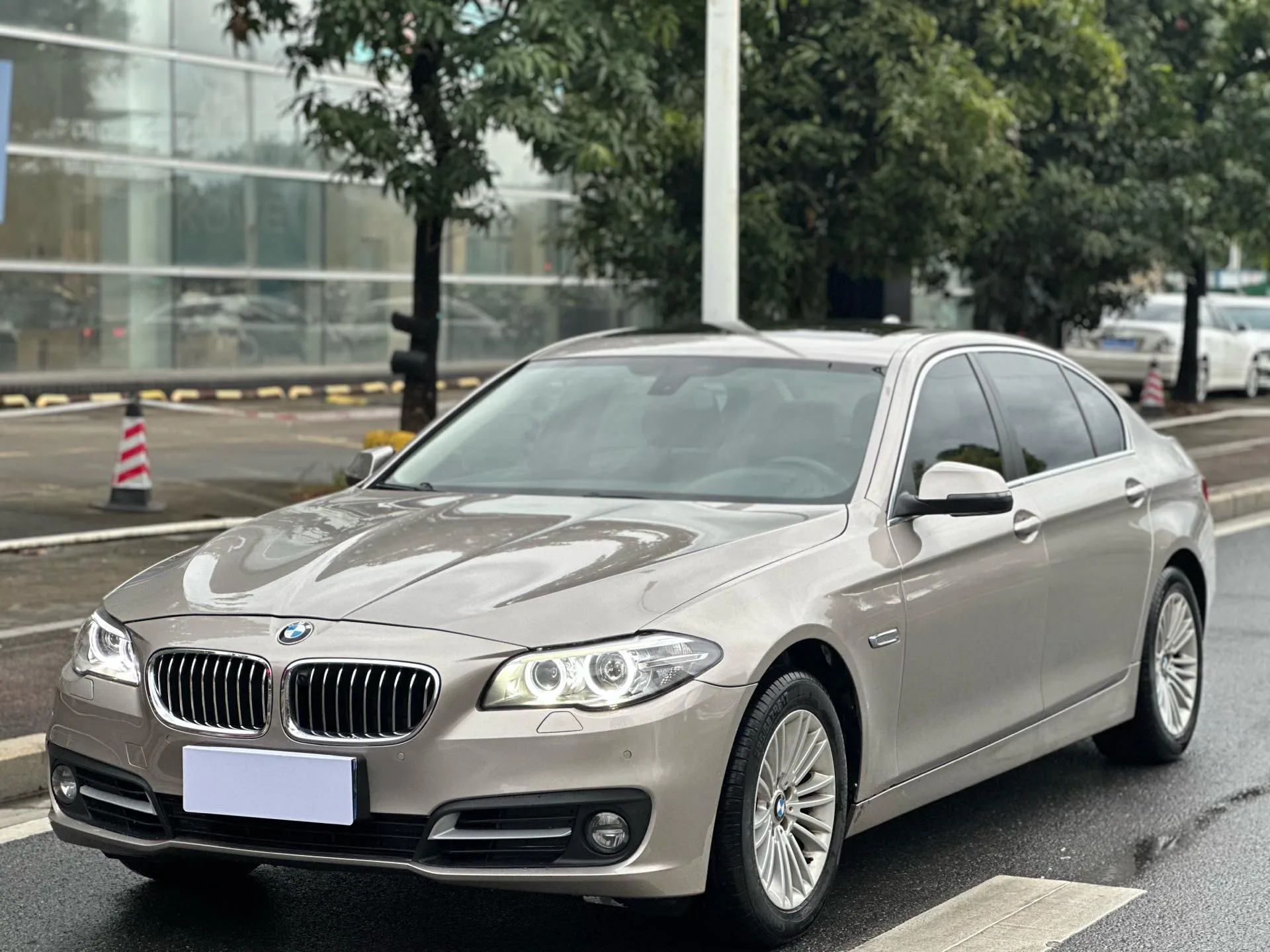 2014 BMW 5 Series 525Li Leading Edition