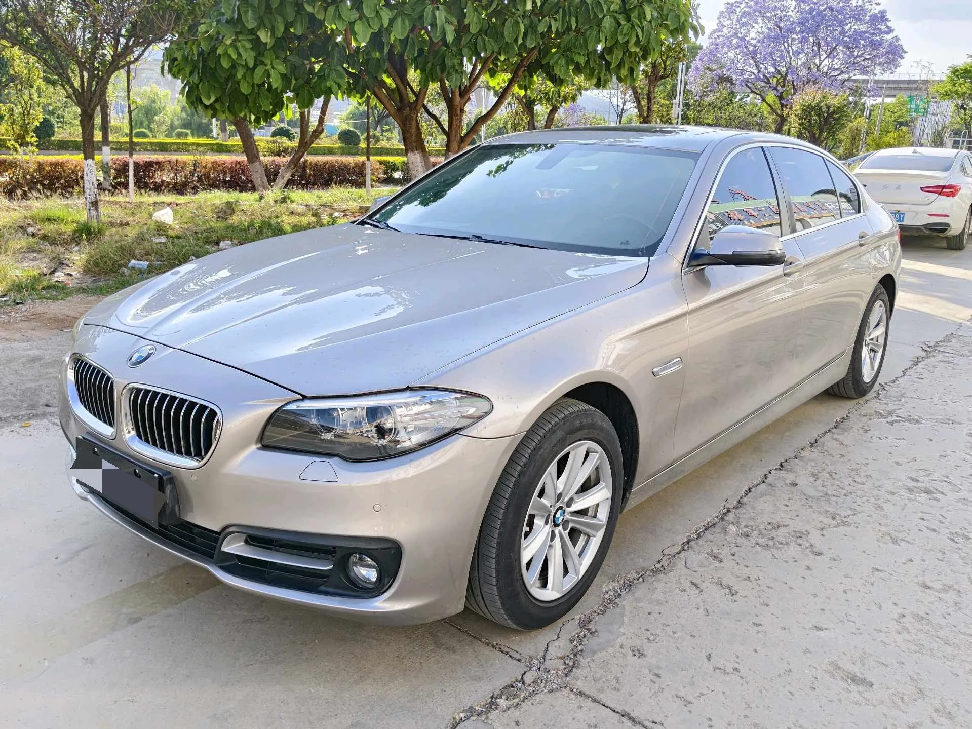 2014 BMW 5 Series 520Li Elegant Edition