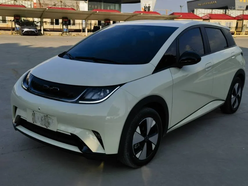 BYD 2023 Dolphin 420km Freedom Edition Automatic