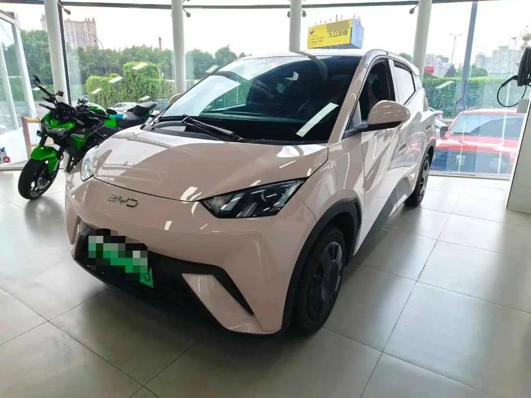 BYD 2023 Seagull Vitality Edition Automatic