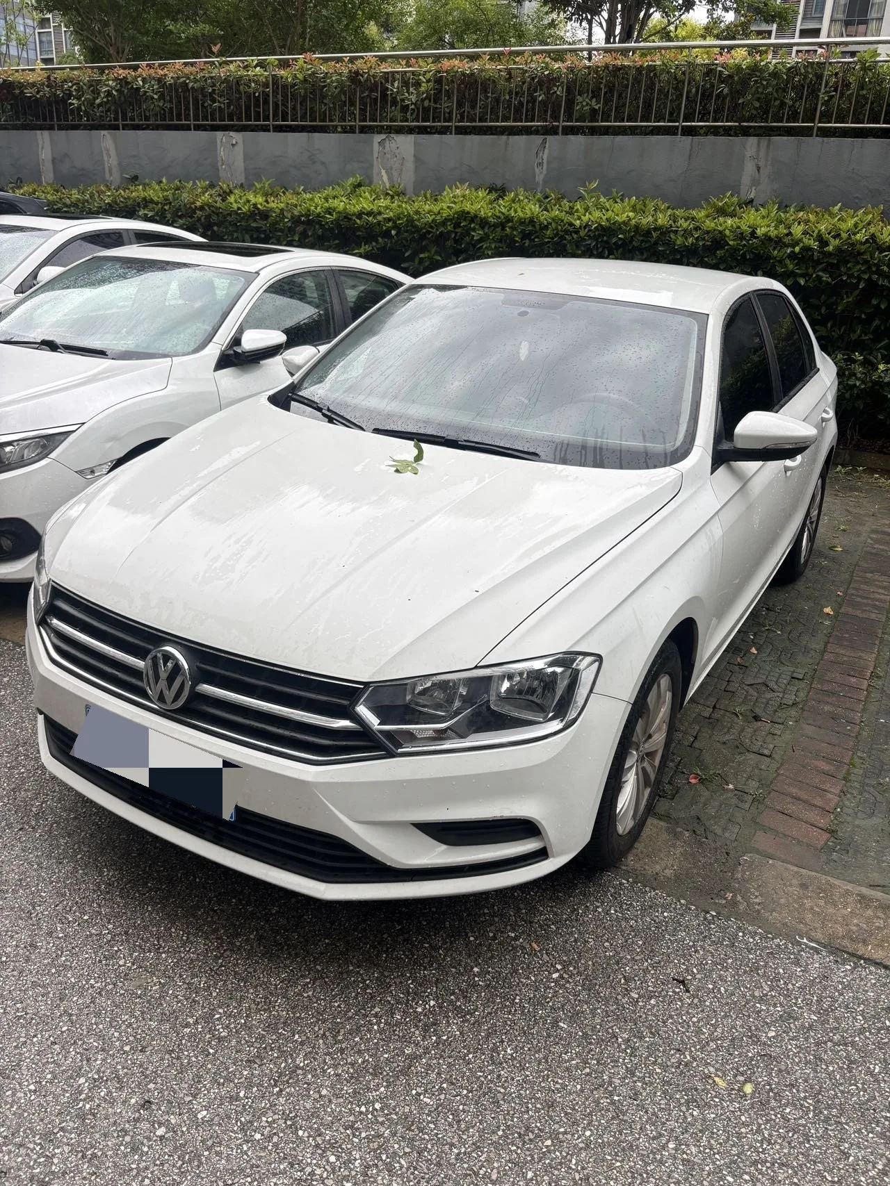 2019 Volkswagen Bora Legend 1.5L Automatic Fashion Model (National V Emission Standard)