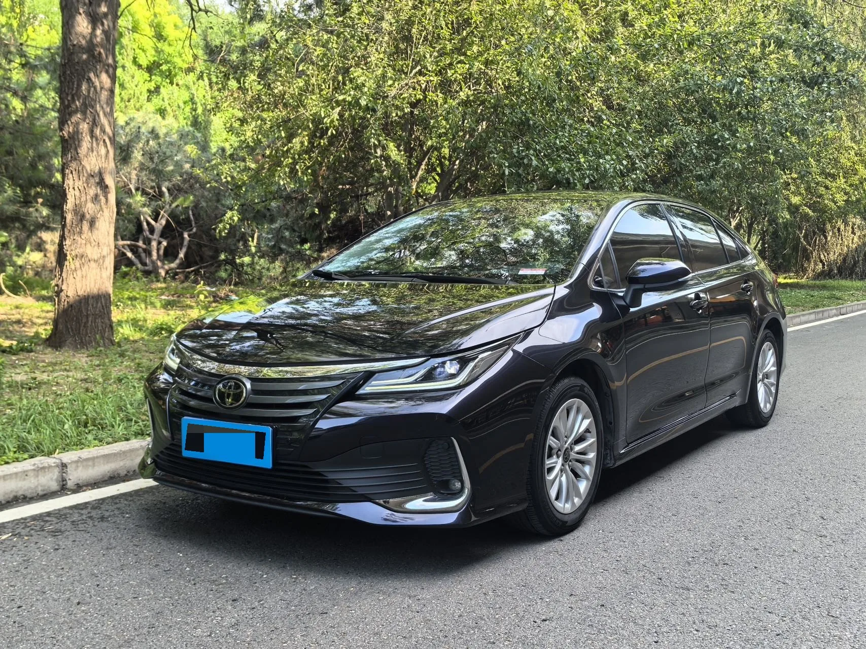 2021 Asian Lion 2.0L Luxury Edition