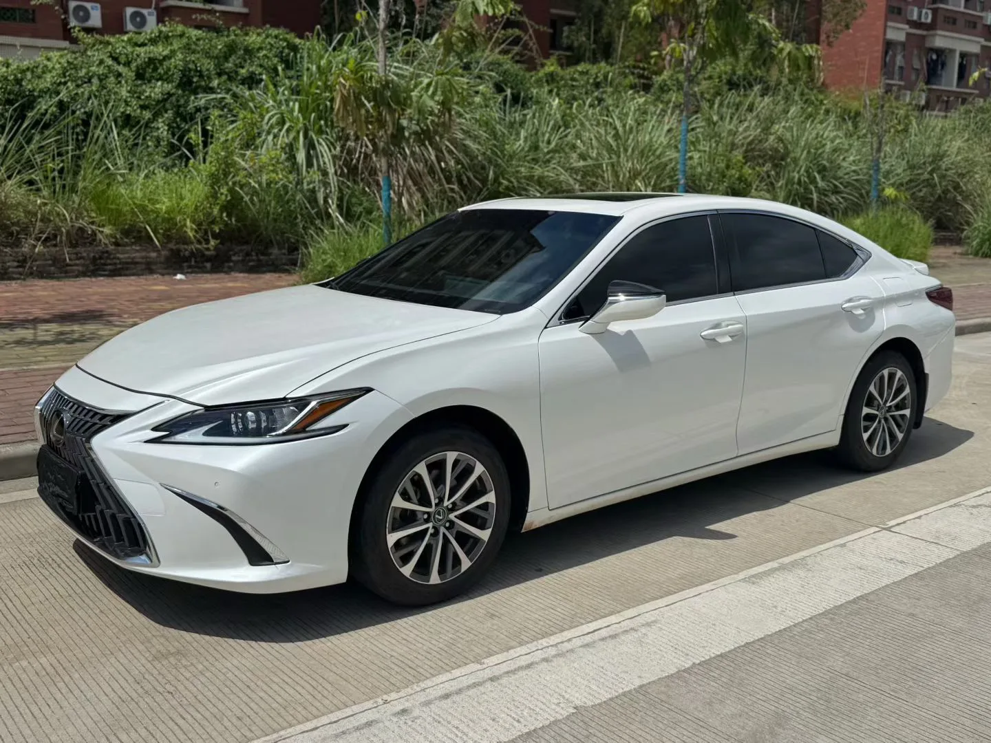 Lexus ES 2023 200 Premium Edition