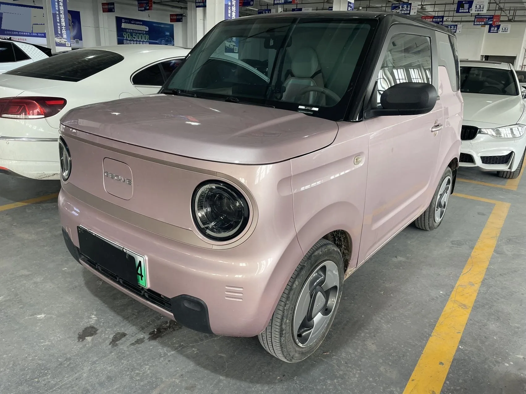 Little Ant 2024 Model, 321 km Range, "Only Love" Edition