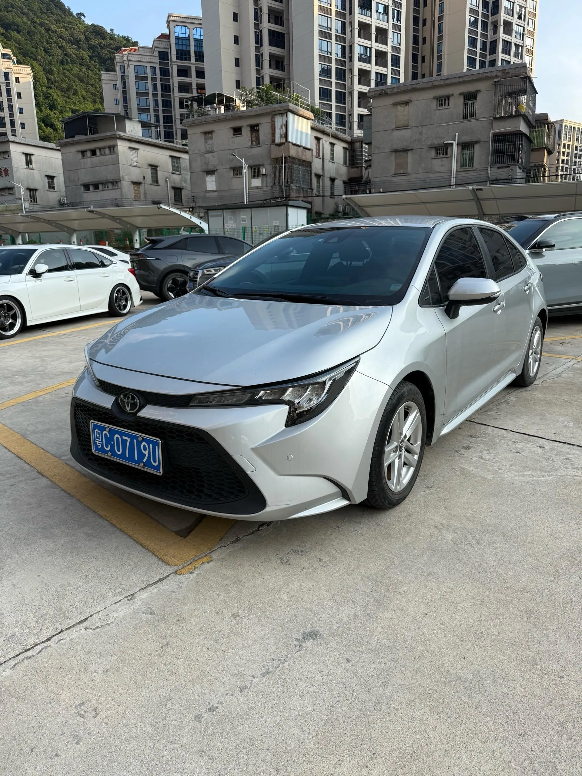 Levin 2022 TNGA 1.5L CVT Entry Edition