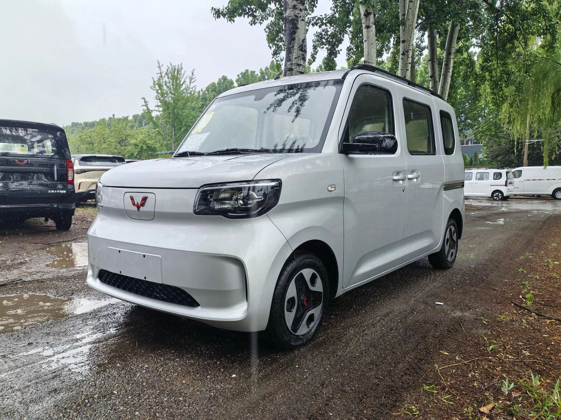 Wuling Sunshine New Energy 2025 Model, 201km/h Comfort Edition