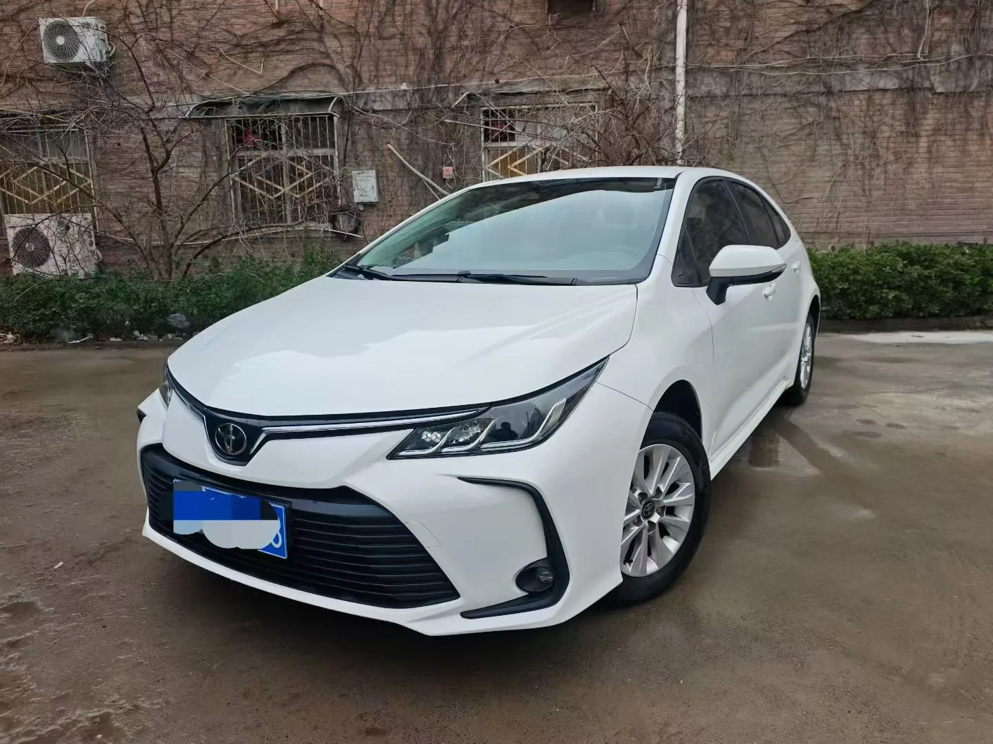 2023 Toyota Corolla 1.2T CVT Pioneer Edition Automatic