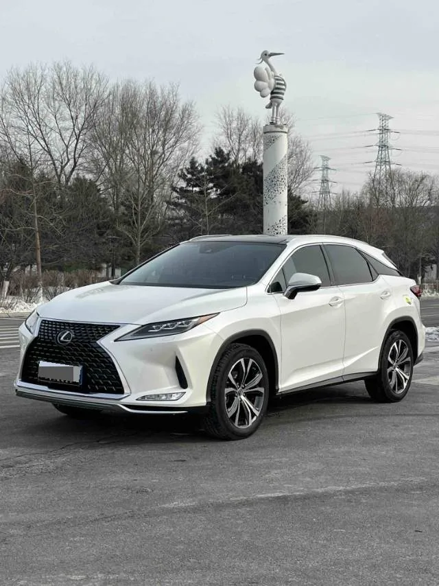 Lexus RX 2020 300 AWD Elegant Edition (China V Emission Standard)